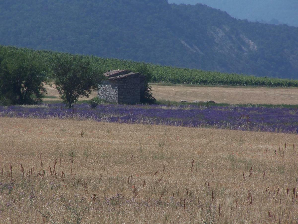 "Le Pigeonnier" Chambre D'Hote Piégros-la-Clastre Eksteriør bilde